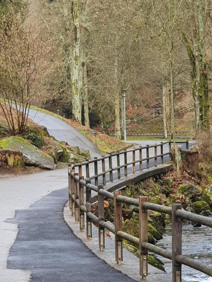 Stürmlesloch Lägenhet Bad Wildbad Exteriör bild