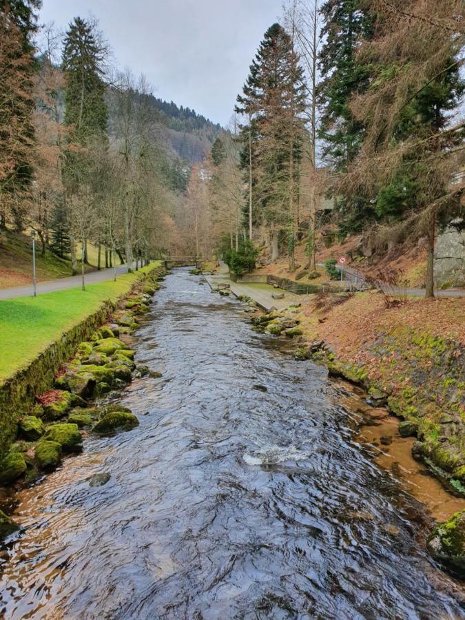 Stürmlesloch Lägenhet Bad Wildbad Exteriör bild