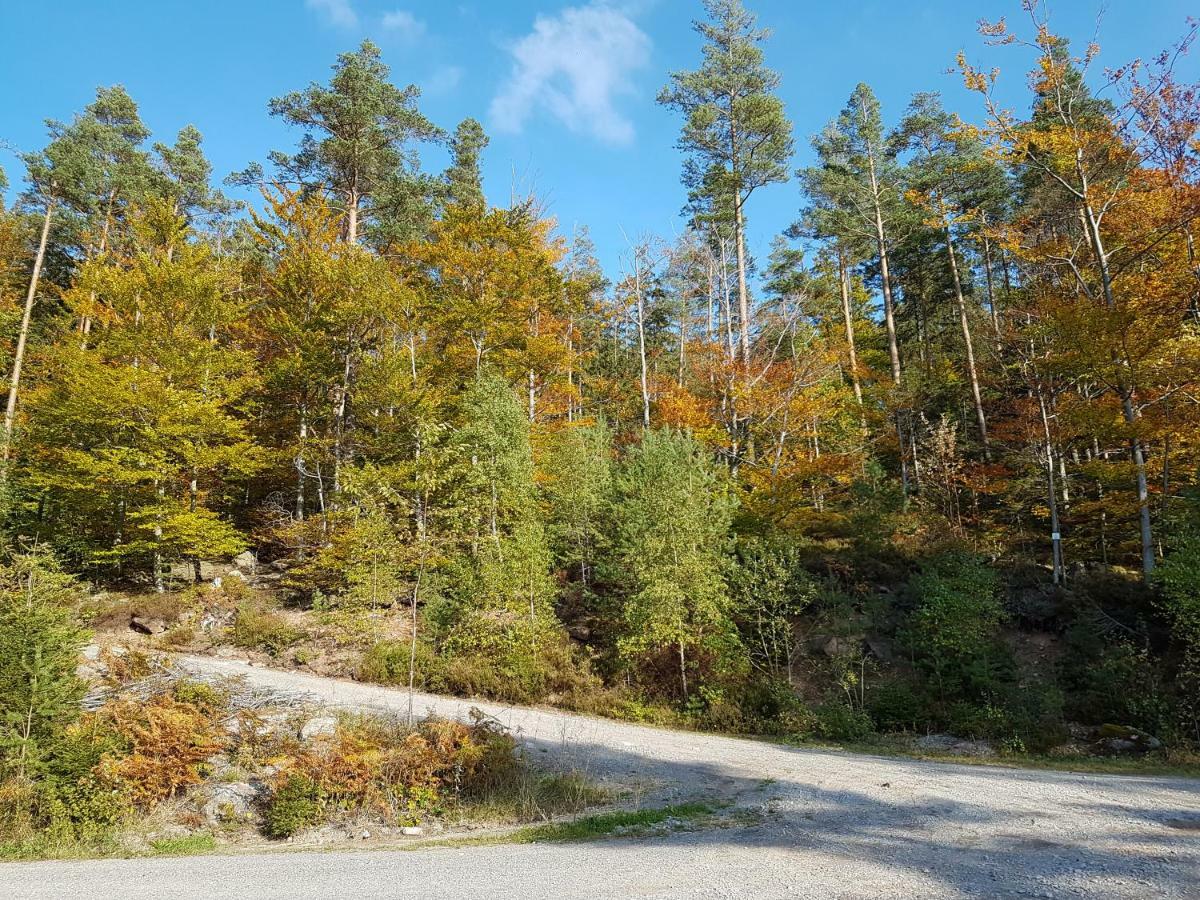 Stürmlesloch Lägenhet Bad Wildbad Exteriör bild
