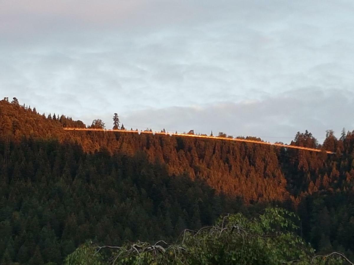 Stürmlesloch Lägenhet Bad Wildbad Exteriör bild
